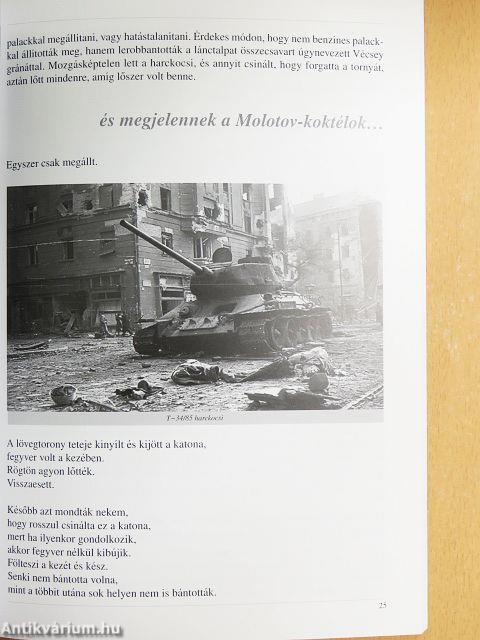 Csak azt mondom amit megéltem