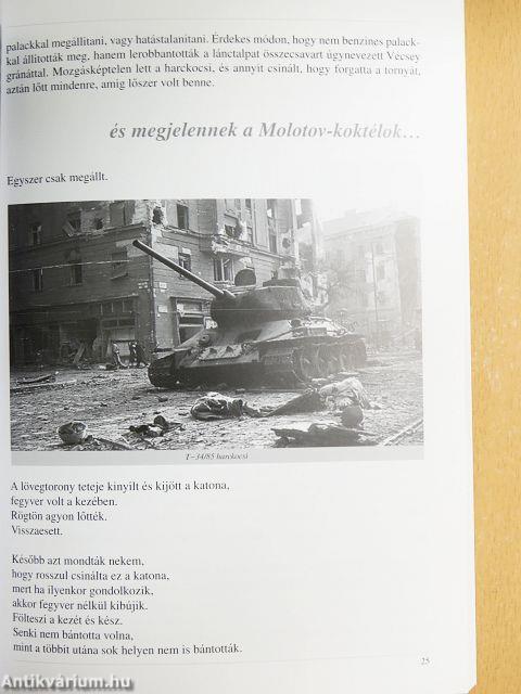 Csak azt mondom amit megéltem