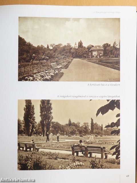 Üdvözlet Szent Margit szigetéről