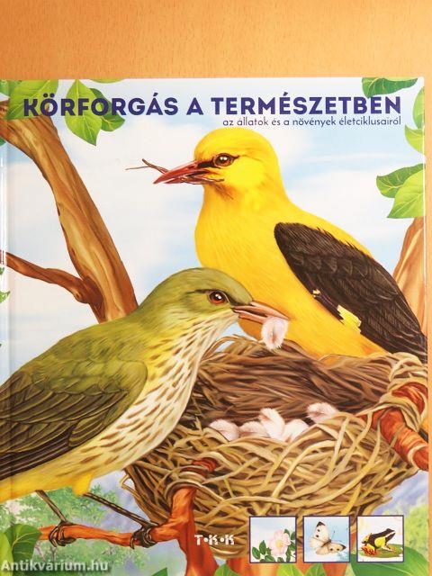 Körforgás a természetben