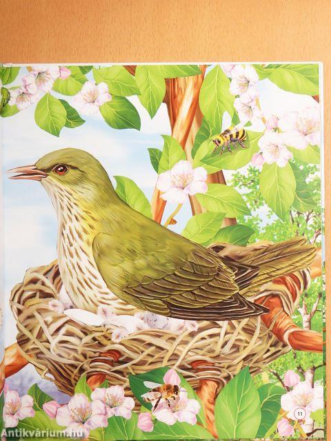 Körforgás a természetben