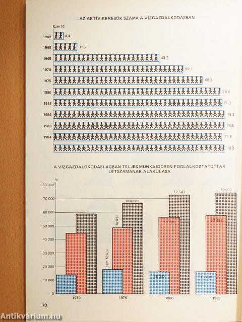 A vízgazdálkodás 40 éve számokban 