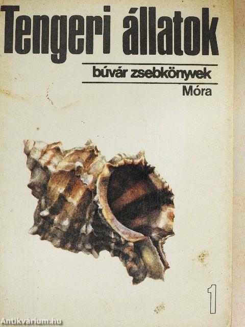 Tengeri állatok 1.