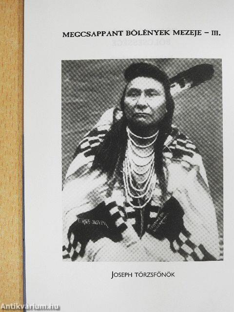 Törzsfőnökök bölcsessége