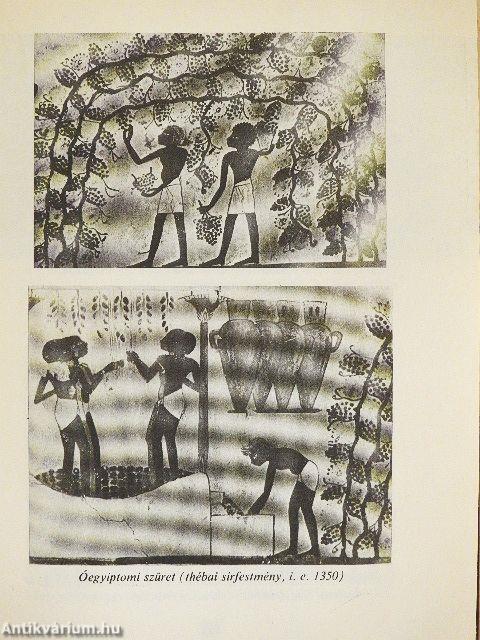 Gasztronómiai kalandozások Európában