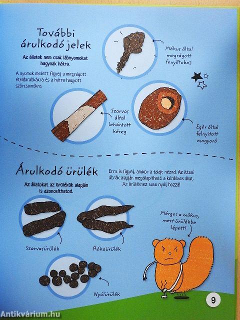 Legyél te is nyomkereső!