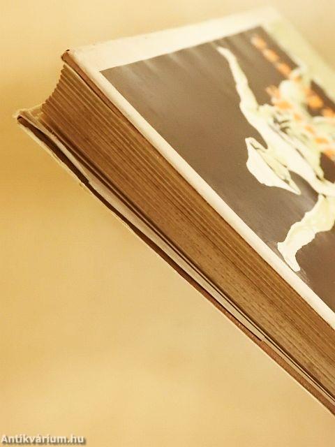 Szuronyok árnyékában