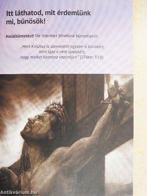 Keresztül-kasul az élet színterén