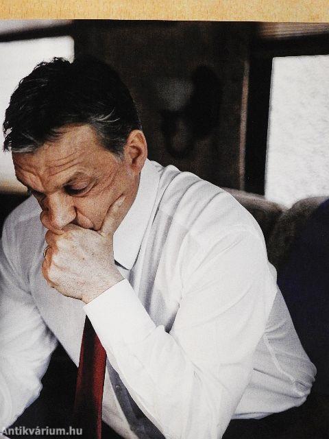 Egy kampány krónikája