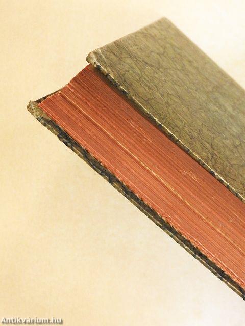 Die Bergstadt 1926-1927 I. (nem teljes évfolyam) (gótbetűs)