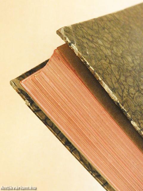 Die Bergstadt 1926-1927 I. (nem teljes évfolyam) (gótbetűs)