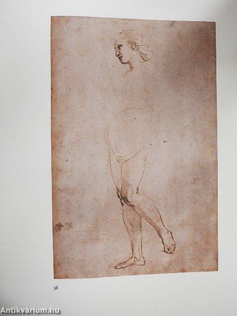 A test diadala - Michelangelo és a 16. századi itáliai rajzművészet