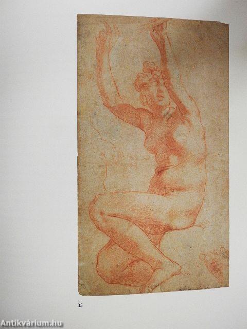 A test diadala - Michelangelo és a 16. századi itáliai rajzművészet