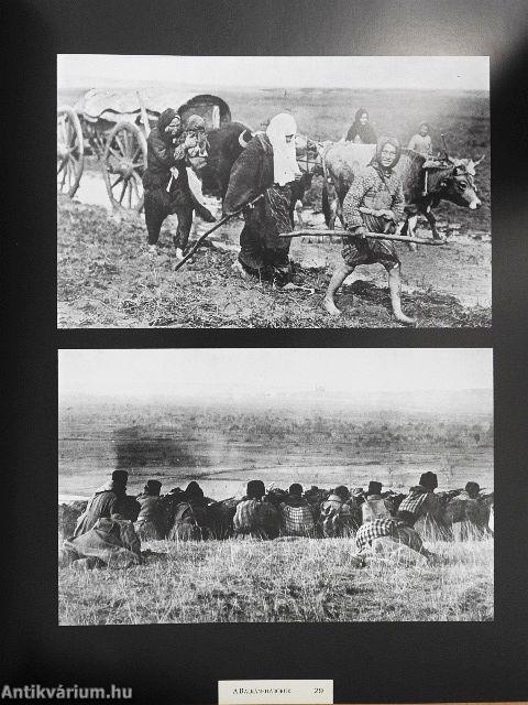 A háborúk százada