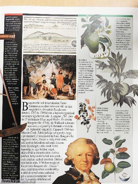 Az ész és a vér kora