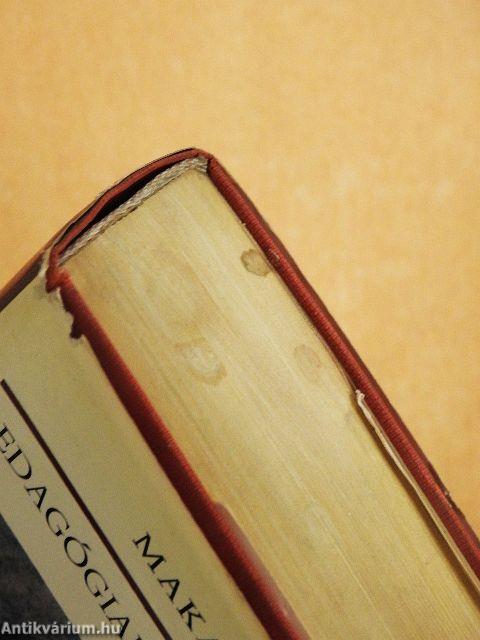 Pedagógiai hősköltemény