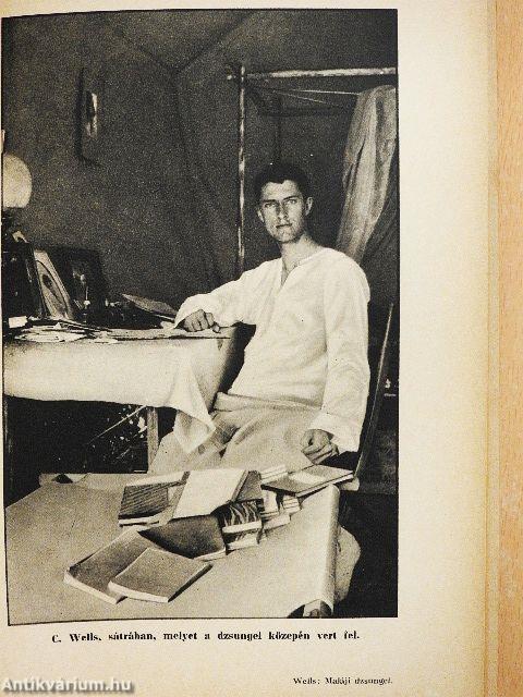 A maláji dzsungelben