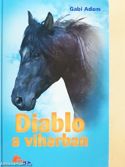 Diablo a viharban