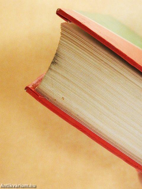 Magyar-portugál kéziszótár 