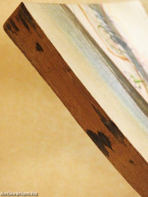 Az elvarázsolt kastély