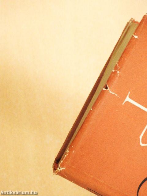 Gyermekkor, serdülőkor, ifjúság