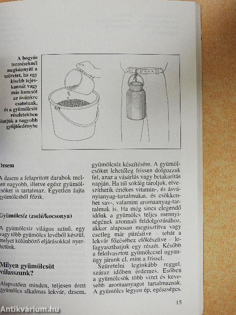 Gyümölcsök befőzése - kandírozása, elrakása