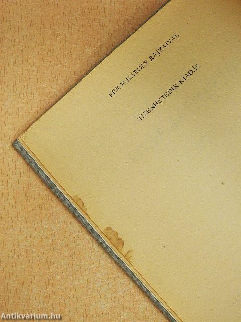 Légy jó mindhalálig