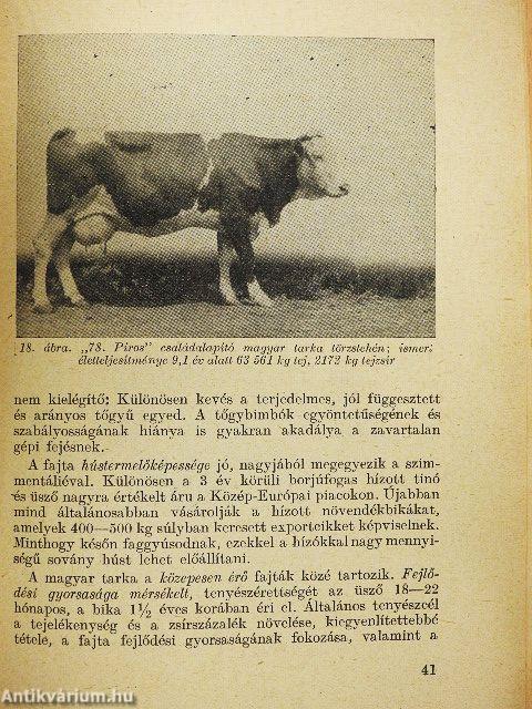 Állattenyésztés 3.