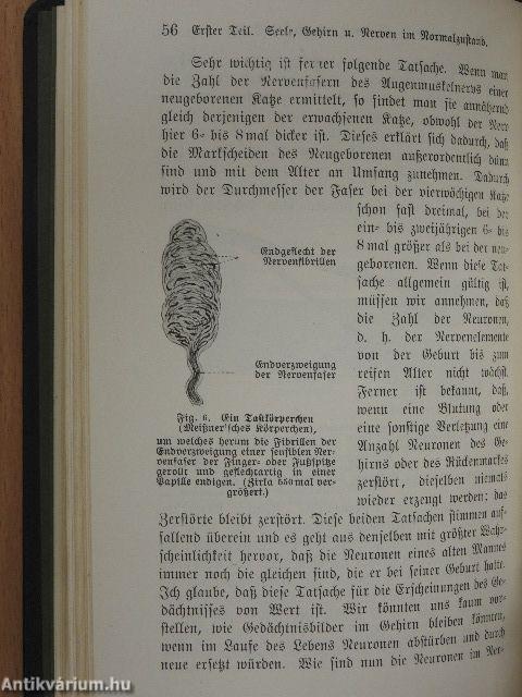 Hygiene der Nerven und des Geistes (gótbetűs)