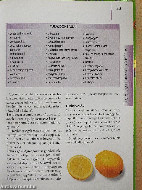 Illóolajok