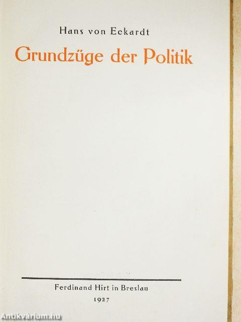 Grundzüge der Politik