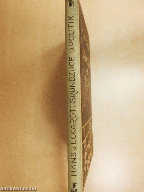 Grundzüge der Politik