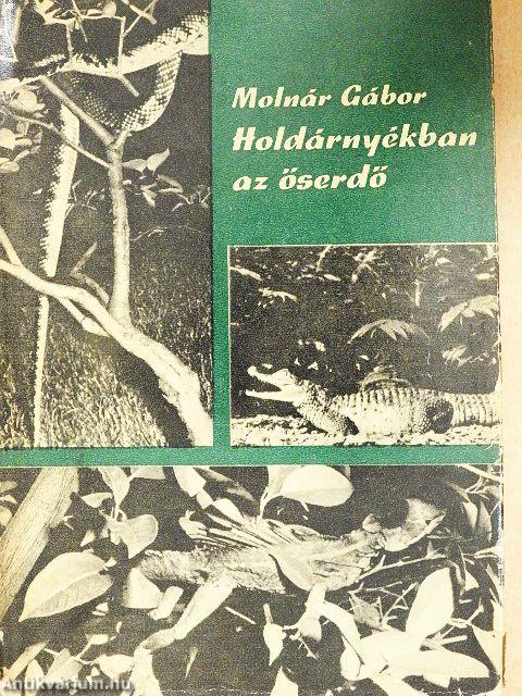 Holdárnyékban az őserdő