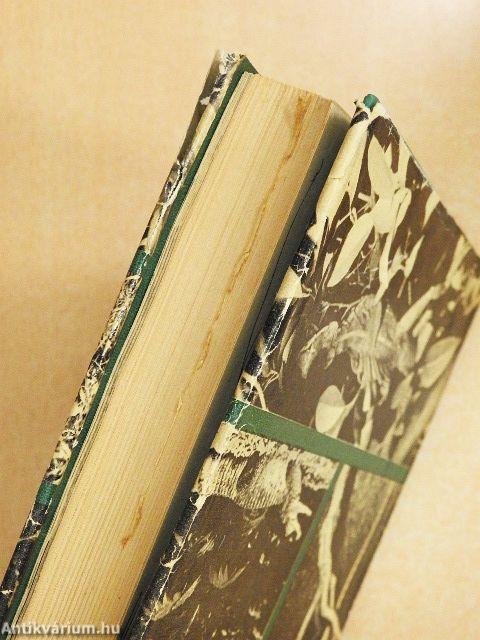 Holdárnyékban az őserdő