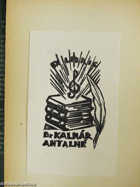 Holdárnyékban az őserdő