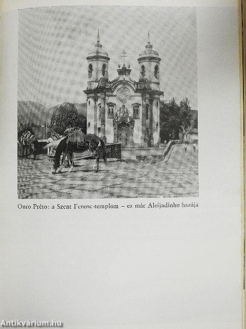 Brazíliai barangolások