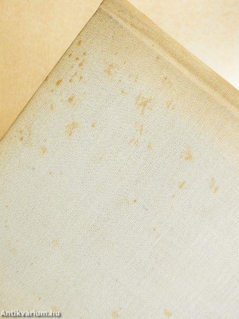 A tizenöt éves kapitány