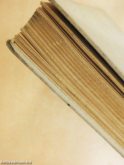 A tizenöt éves kapitány