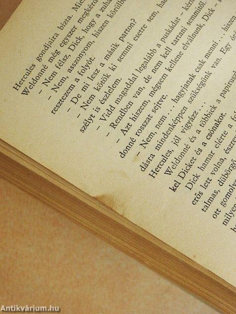 A tizenöt éves kapitány