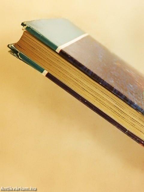 A megtalált Odüsszeusz