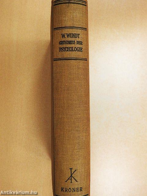 Grundriss der Psychologie