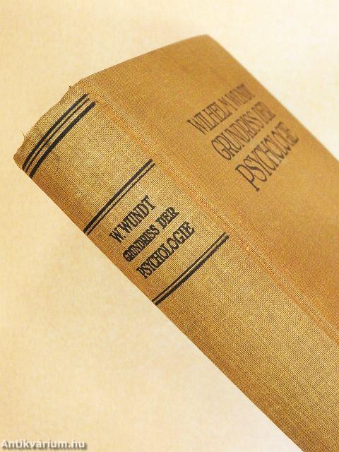 Grundriss der Psychologie