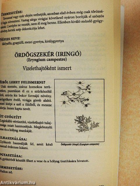 A gyógyító természet
