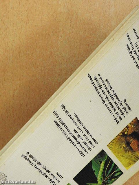 A kerti károsítókról