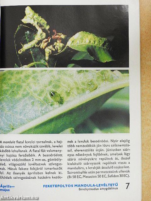 A kerti károsítókról