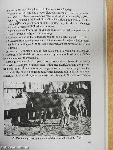 Kecsketenyésztés kisgazdaságokban