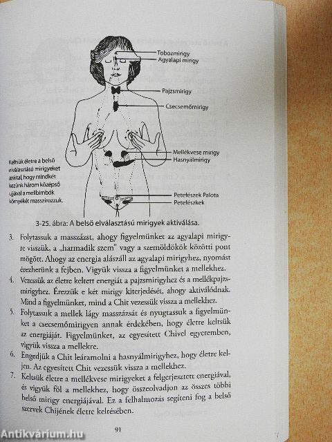 Csontvelő Nei Kung