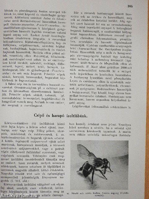 Rovarok és betegségek