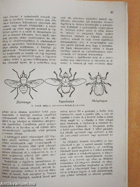 Rovarok és betegségek