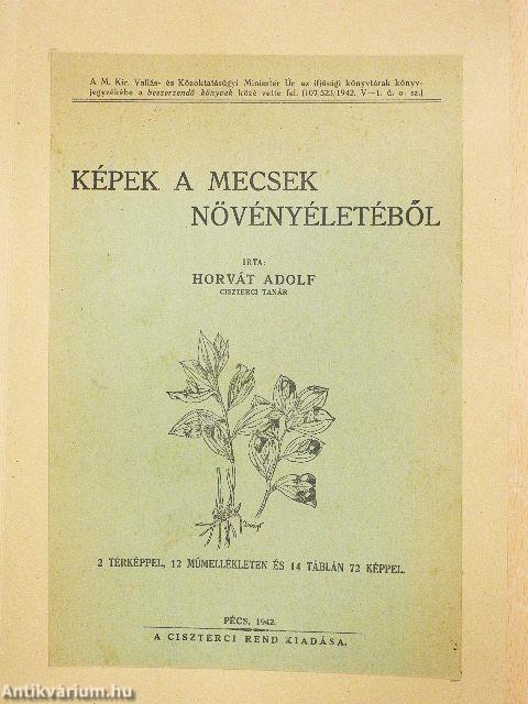 Képek a Mecsek növényéletéből